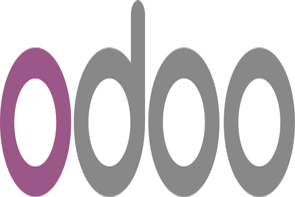 Odoo ERP System